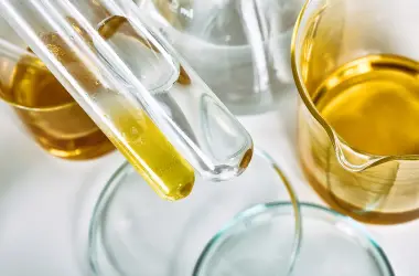 Categorías emulsificantes familia